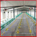 fully automatic floor feeding equipment for chicken ground feeding system